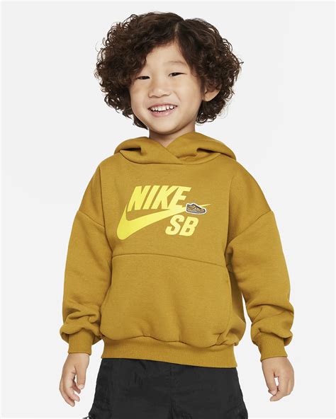 Nike Sb Icon Fleece Hoodie 